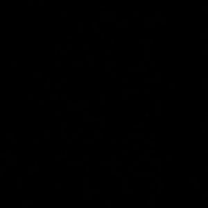 Meet your Posher, Jocelyn